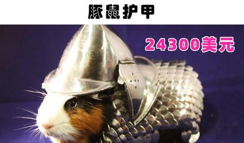 贾斯汀|奇怪的网购商品：世界各地的网购平台上曾出现过的9件奇怪商品