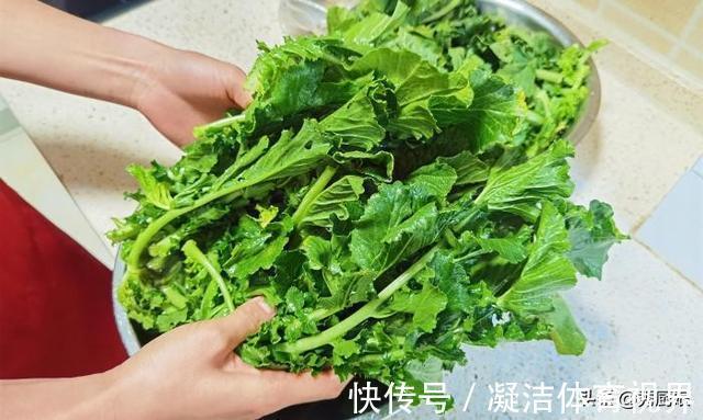 宝贝|很多人只吃果肉，其实叶子才是宝贝，多捡些回家，一晒一烀，真香