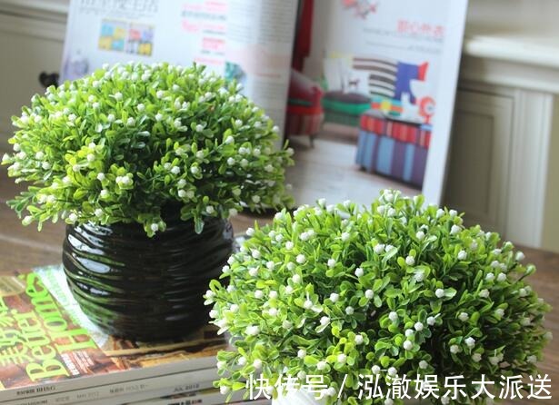 种花|夏天就种5种花，一点不怕晒，再热的天都没事！