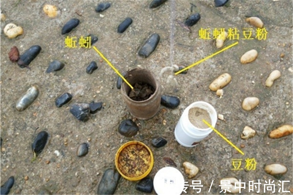 鱼口|野钓秘方:秋天用蚯蚓钓鲫鱼,最好增加2个步骤,咬钩量提升10倍
