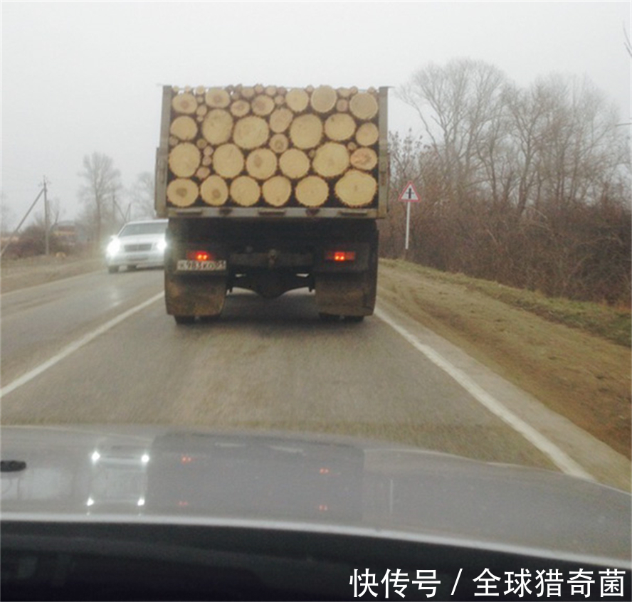 摄影|35张“活久见”的完美图片,强迫症瞬间被治愈了