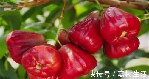 红薯|想体质好，推荐吃的好食物，排毒养颜，抗氧化、促进肌肤排毒