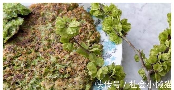 马齿苋|春天,遇到4种野菜别放过,加把面粉蒸一蒸,太好吃了