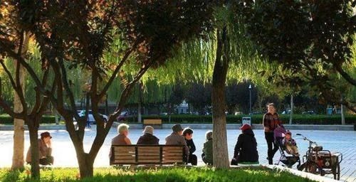 带娃|“如若可以,别轻易帮女儿带娃”,姥姥的忠告很现实,值得一听