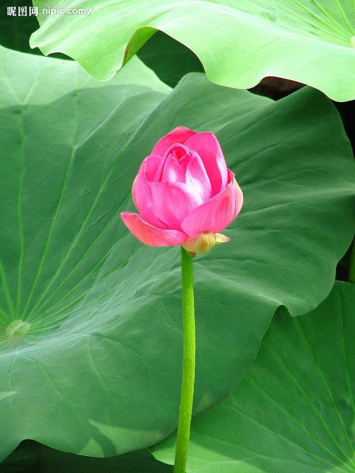 菏泽日报|「青未了」五月的雨