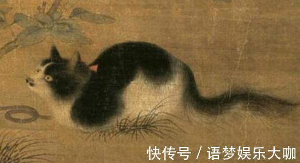 中国传统文化#一个花和尚志明的打油诗:读不懂觉得是屁,读懂了却是人生