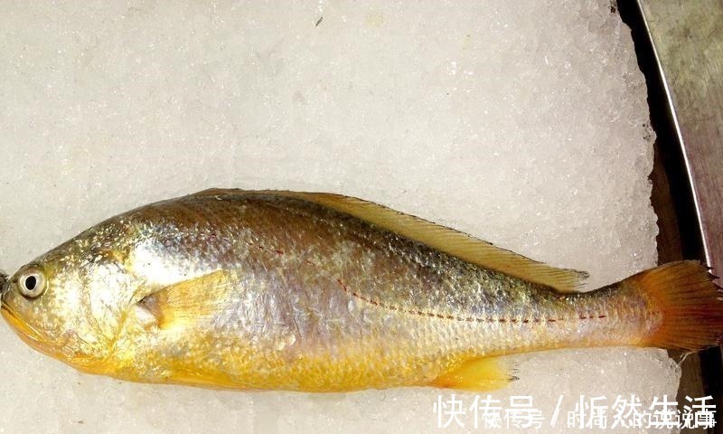 买海鱼时，这5种海鱼放心买，人工没法养，美味又营养！