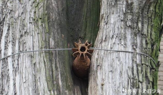 早知|古庙炮轰都纹丝不动, 敌军进庙忙说 早知是您, 打死都不开炮了