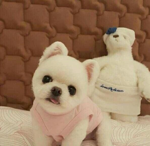 床上螨虫成窝,家里老人小孩老过敏,教你1个土法子,让螨虫消失