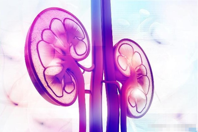 肾脏|男人每天嚼几粒“枸杞”,时间长了,这3个变化可能“不请自来”