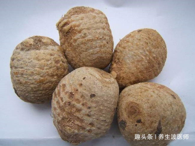 五倍子|男人“快”而不乐怎么办1水洗洗，调理“早泄”，烦恼自动消失