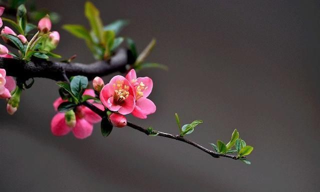 10句养生名联,寥寥数语,养出精气神