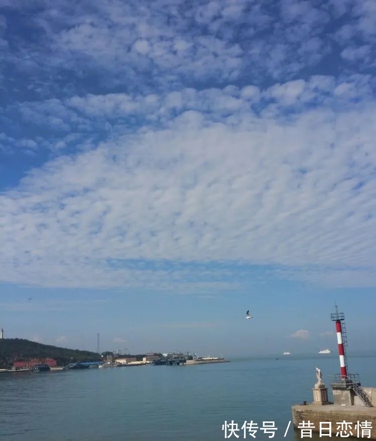 诗句|当年背到头秃的古诗,瞬间读懂了……