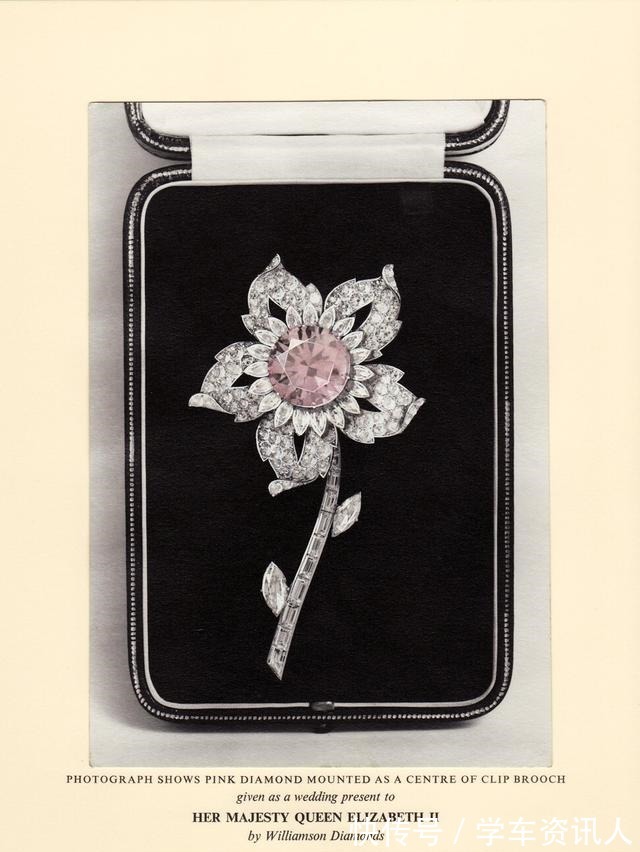 珠宝!粉红美钻送公主,成全女王少女心,莉莉贝特的这枚花型胸针不简单!