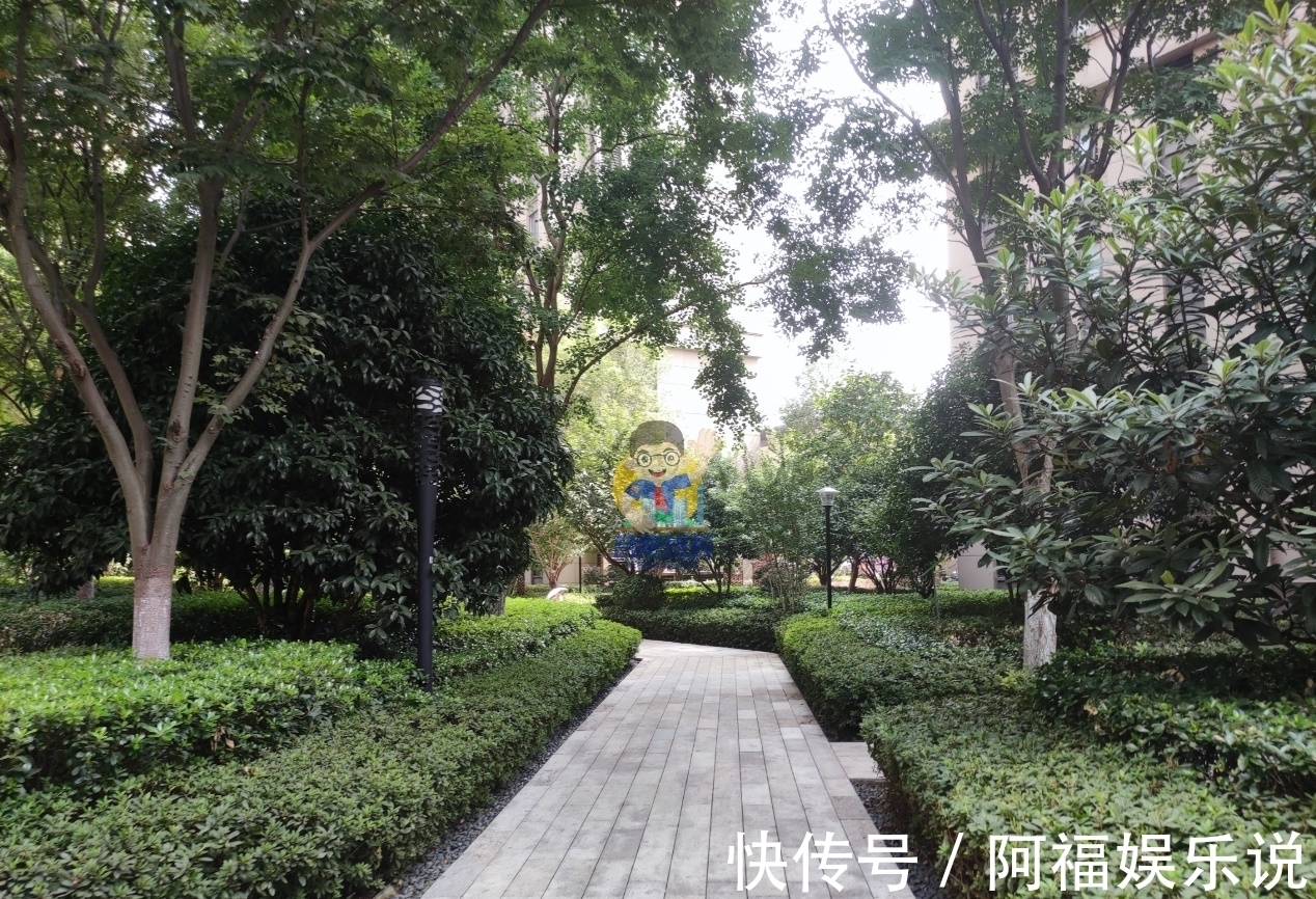 万科|这里是合肥北部出名的富人小区,实探万科森林公园品质究竟如何?