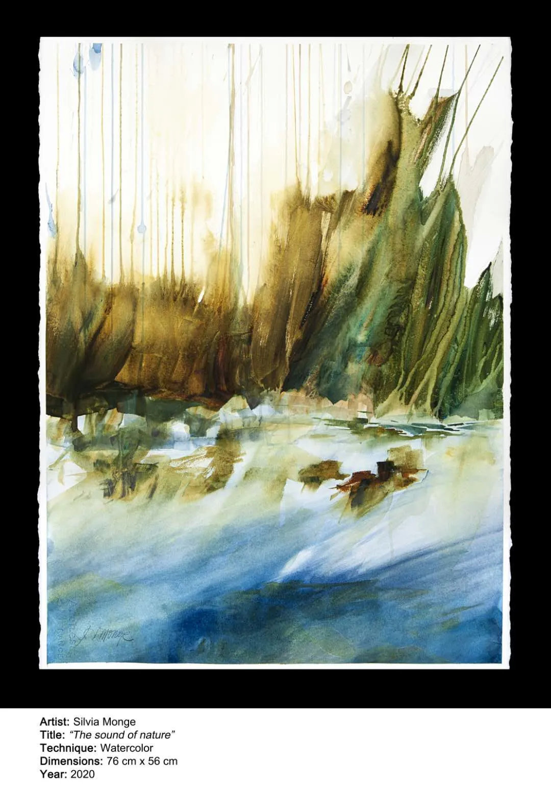 Monge|「第七届水彩节特邀嘉宾」Silvia Monge艺术作品展