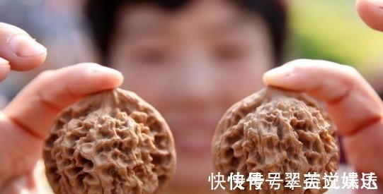 养分|花店老板说往绿萝君子兰盆里塞点它，叶子黑亮，疯狂开花！