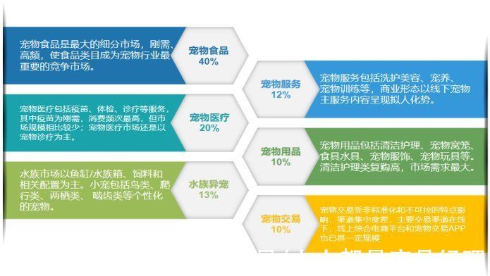 波奇宠物APP竞品分析报告