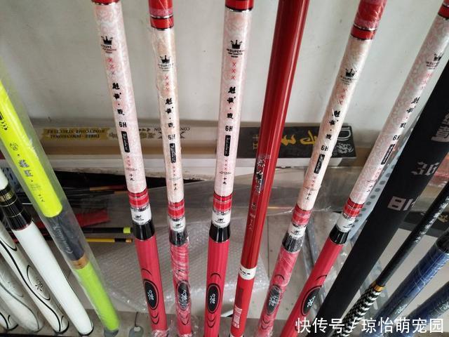 竿壁|几十元的鱼竿和几百元的鱼竿差距在哪？内行人士来告诉你答案