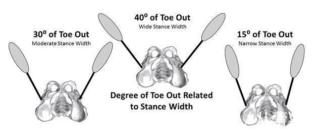 脚尖|深蹲脚尖到底该朝哪个方向?如果你不是天赋异禀,那就别乱来