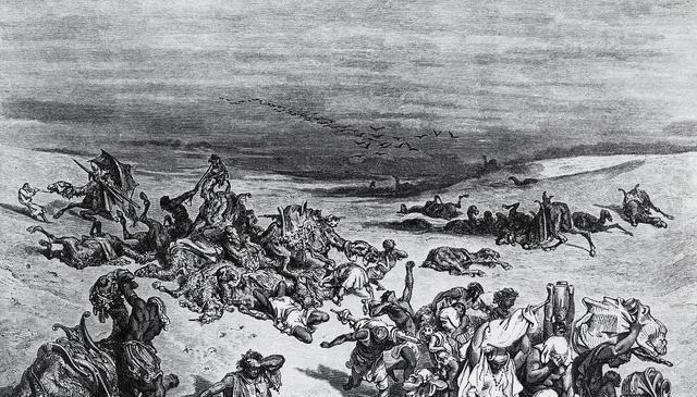 爆发|明末大瘟疫