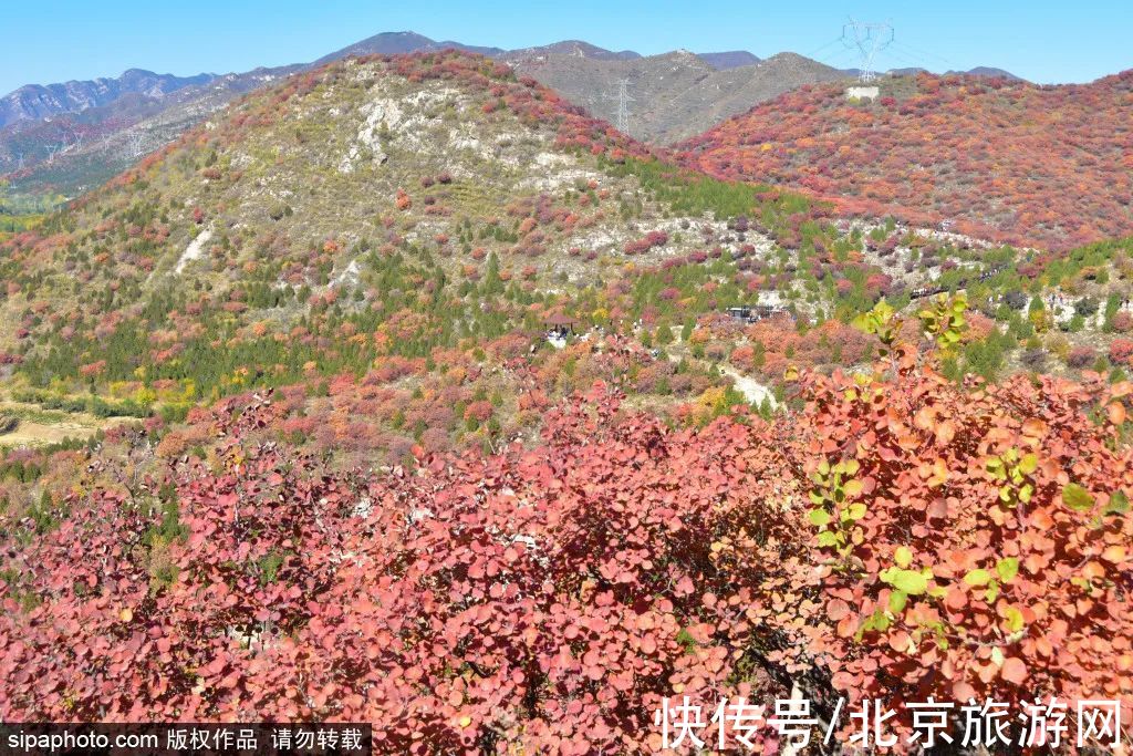 龙湾屯|舞彩浅山即将进入观赏期，带家人去登高赏景吧！