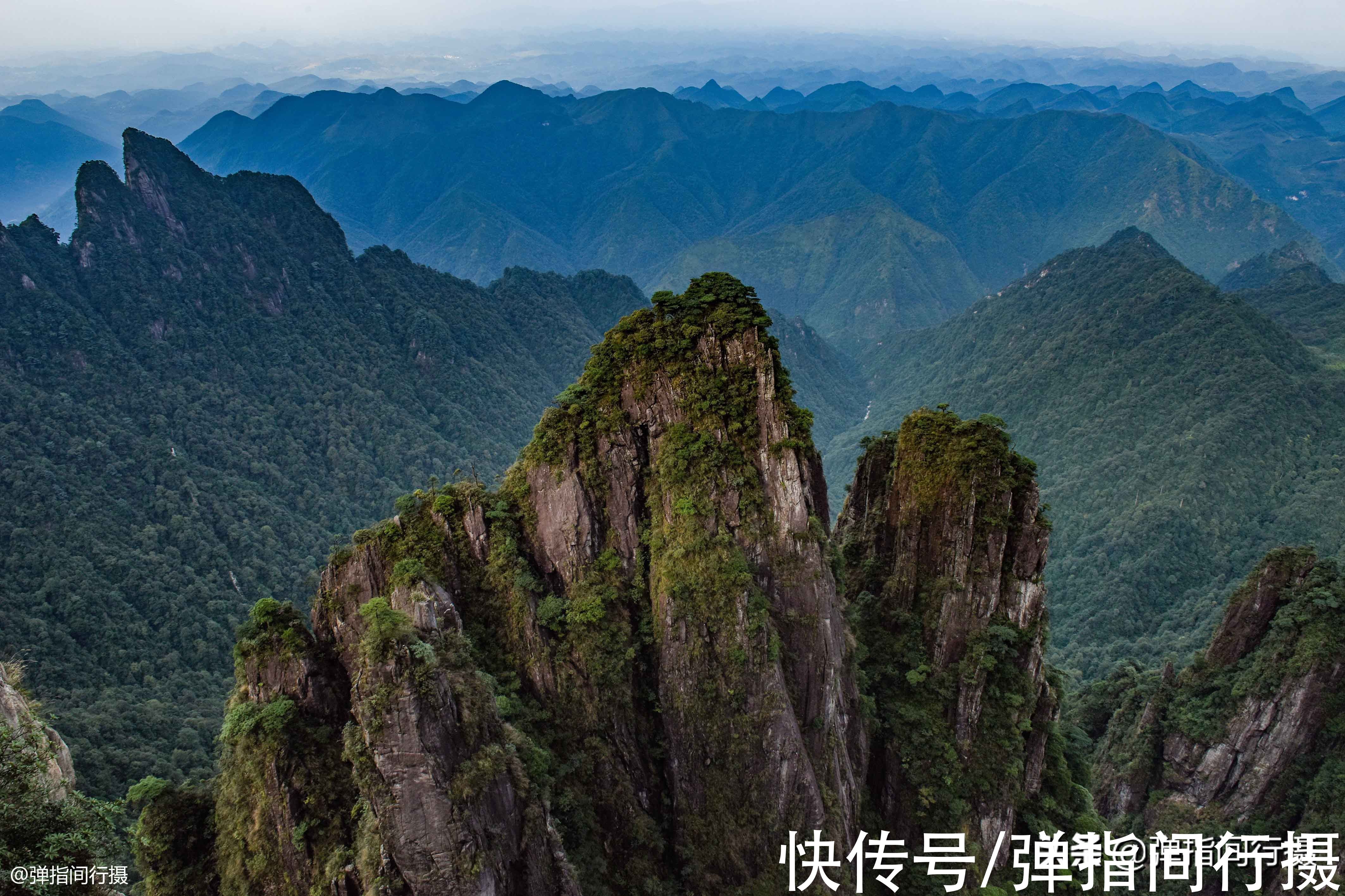 五指峰|湖南有座“绿色宝库”，横跨湘粤，山高林密，出产特有的剧毒蛇