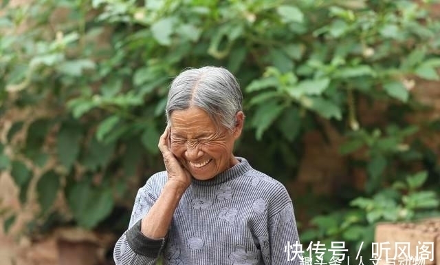 邻居|鸟粪落入8旬老奶奶家中,长出野参树邻居说值10万,到底是真是假