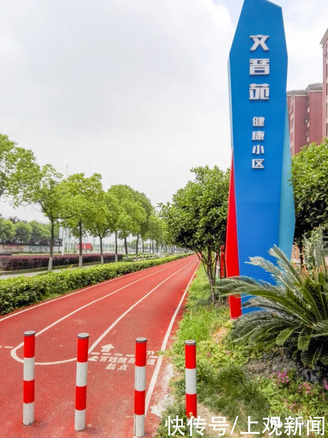 步道|休闲健身好去处！松江这里新增一条健身步道，在你家门口吗？