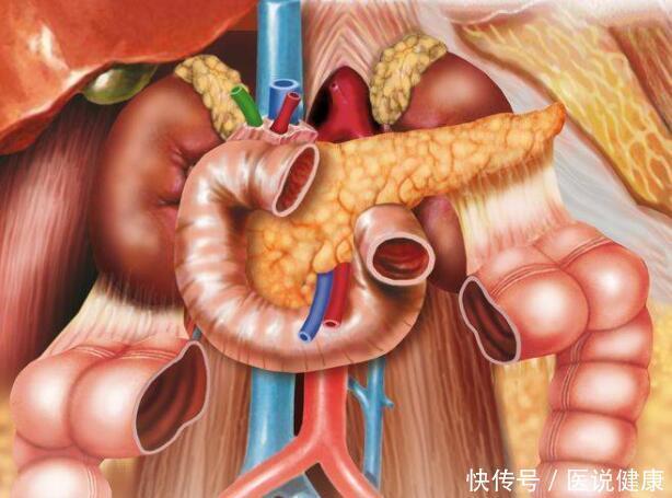 糖尿病|被称为“癌王”的胰腺癌,这8个导火索,劝你趁早要消除!