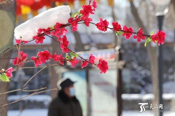 冬至雪后 晴空暖日似春归