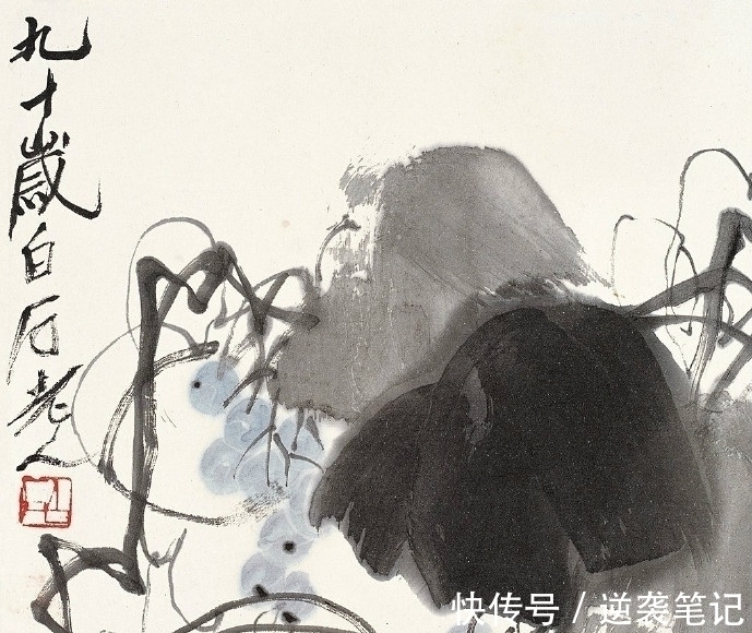 花鸟册$齐白石巅峰时期的花鸟册,如今看来都是精品,不愧是大师作品