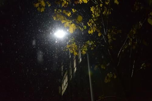 冬夜|冬夜霜雪落满头，我与巢院共白首