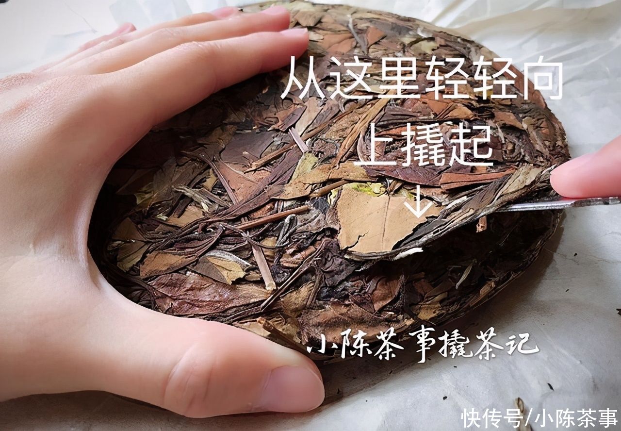 白茶饼容易撬碎，是品质问题吗？看完这2个细节，这锅得自己来背