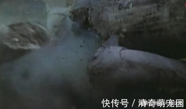 奥特曼|谜题已经解开了,另外的两个石像也是迪迦奥特曼