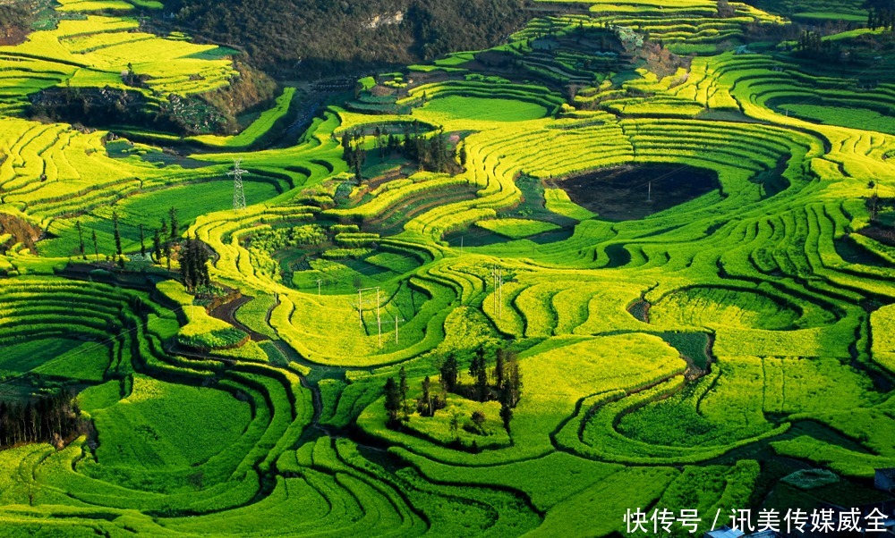 就现在！用最短时间，看最美的罗平，赏最全的美景