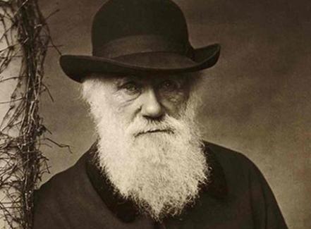 天才|高智商的孩子,都有此类“怪癖”,家长别把“天才”扼杀在摇篮里