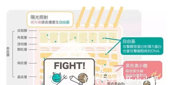 胶原蛋白 感觉面部皮肤松弛,佰花方视黄醇套装护肤品哪个好!