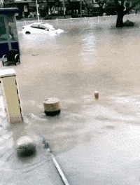 |搞笑GIF:你这是干啥呀,检查就检查呗,咋还炸毛了呢?