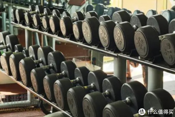 健身房|运动生活 篇二十七：怎么挑选一款合适的哑铃？