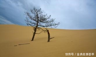  解自己|卡耐基《人性的弱点》早20年读懂这5句话，你不会活成现在这样