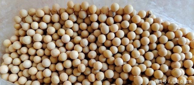 老板|打豆浆，黄豆直接打成浆就错了，早餐店老板教你一招，豆浆香又浓