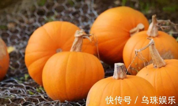 红细胞|冬天女性会吃的人最健康,3种食物离不开,补充营养,滋润身体!