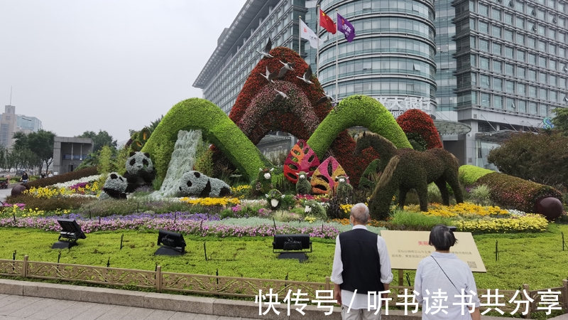 山桃草|西单西南角“美丽中国”花坛：美丽看得见，幸福在眼前