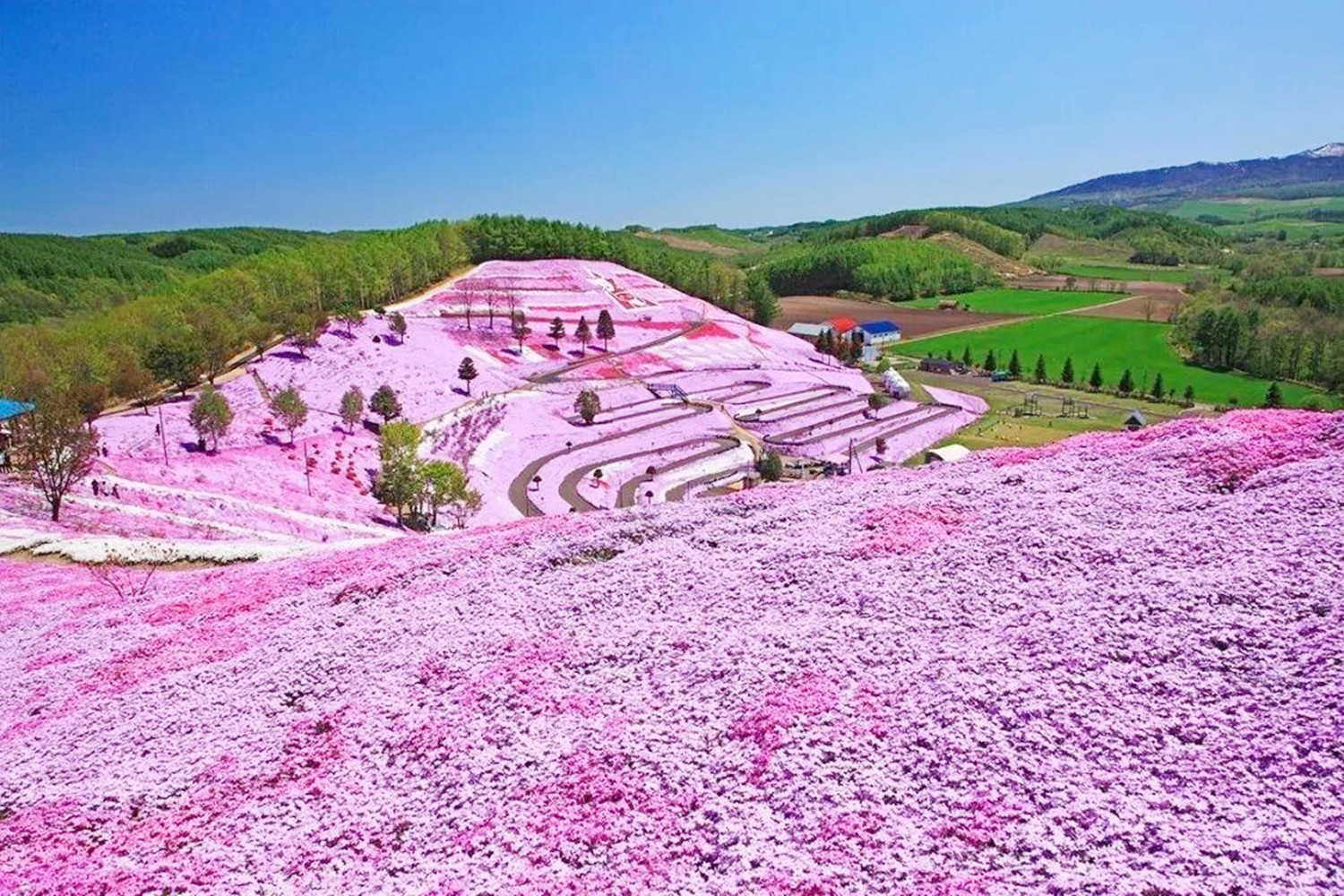 去北海道游玩该怎么规划？这有三条旅游路线推荐，建议收藏打卡