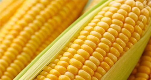 蓝莓|赘肉“害怕”的几种食物，每天换着吃，刮油消脂，轻松甩掉大肚腩！