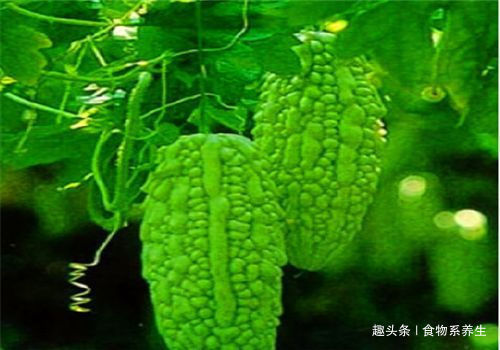 苦瓜素|会吃的人最健康，4蔬菜不错过，营养低脂，疏通血管，更有女人味