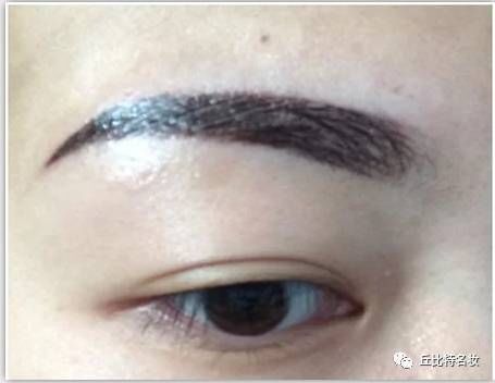 丝雾眉反色期10天图片