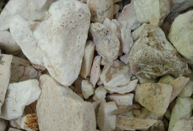 学界|文盲农民造假文物,自创文字骗倒一众专家,迫使学界开设一新学科