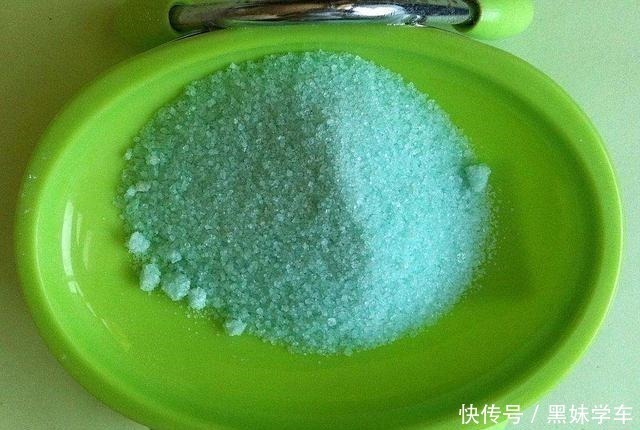 酸碱度|叶子莫名其妙总是黄,问题出在了土壤,加上这2种东西轻松解决!